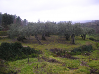 4b321a019a66c5994073b0de35cc65ae