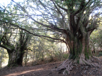 4bbf9744736fe761d226b51268a42daf