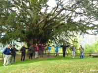 4c83646e2e75b18917b36b77c08e66f8