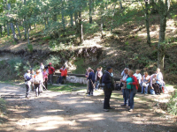 4e070783bf0235d915b754dde1e3d297