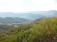 4ed7933f367562d7dd70ce188892f9d2