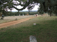 4ed908bf9446782cf9f051c853c6b9b2