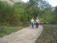 50b21ab3b6c2ba93859aaac1b5554145