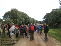 5233c74bfd21d574de404f6ad4a831f3