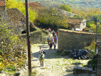 534a23ed71519bc6b6d8fc4e11570816