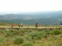 53777cf6124b892c4d3c674f8df86024