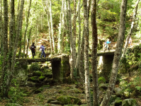 542be75170313ad3818d3e75d84248cf