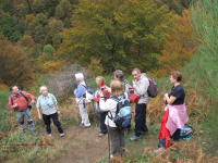 54eb71f15a0559a9fe5f4d6b2ddded39