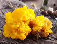 558223aba5891d5b9492c26333f12eb4