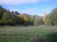 55db582c66c681798e51f3eb819ce897