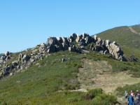 59b98b99601f81bb69ab41b3b11b93e6