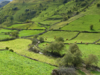 5a0efc610cddf7d6dad0843300a35625