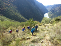 5a0f9b439621fb584e59123be127d020