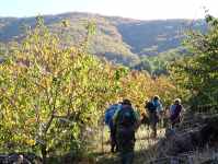 5aa5508b34b0c0a903d1e0d35f0c31c8