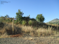 5b43d403859b673163c52f7cb4121a89