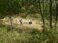 5c518eee06be53fb00c547dccf48aa10