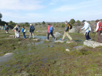 5de90b6e15d4edca89d0c01e7cc53722