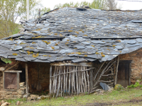 5e1e1711e54513ba38a7025bd55313a7