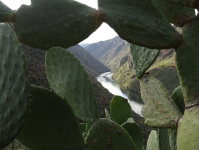 5e90ee3fd38fb35443c03f990b8ca4ab