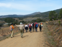 5f05accdcf43ff5c3c3fb2bae29802ee