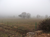 5f58ff76b8f160440c03d72c46e80b73