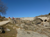 5f5bf78bfba818a15cfeff637d488009