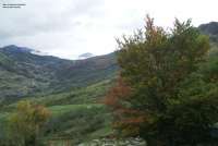 6108a3bada7b8c9dfb5f11f988c3506e