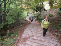 613b1f50fd9b3a1a82f8df2e9c7ef9ee