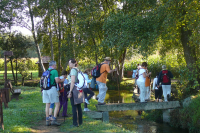 617b53f755635d23a8a6234e62e62bf3