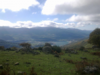 61b328cd0b0ede49139fba472dbb8760