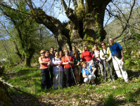 61cae545cd58594174e285da094daf0b