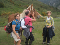 62957368e1a344426e4e4f4537f1bd26