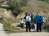 62cd68c067245e84a6496356fd616022