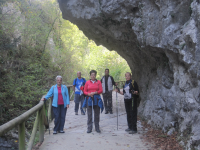 6377b70a604fd882a75a4466667c559a