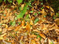 641a3ce759d20d2457d3aa869dcc7670