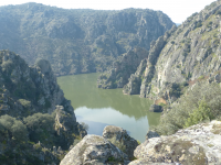 6425e5e84bb5c59a74561abeef1dbffa