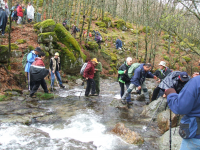 65dfd0989edc18ddcdd25ddb9d1cc8bb