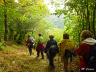 662f61a891cd3d5e958f0b9516942bc8