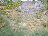 6639014d61a9b1d57857019d3e64aaa1