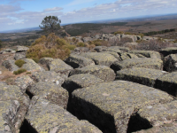 66726f2338527f759e57b0ca8d0891ba