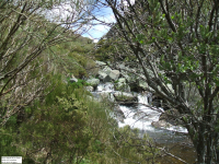 66be5d9b770f8f1d95c2f81673c89d09