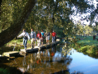 6810624f724410c8d26886f9e4636609