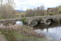 687811c911c915bc99ac6efcd8c6cc15