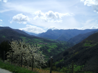 688447c747807f89dbb500620b2ba8ed