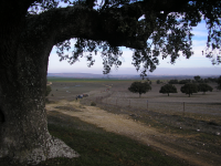 689a4395f59ab0e1d9cd125684163a5f