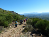 68a6d04989b5240e369fc6c478545ae2