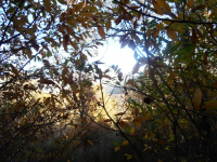 6a0ef45b34fa50b2874a912d2e93a839