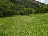 6aac6d493e5b11aad7e099205a0faf29