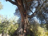 6abebaf27ba4513ec1d113f4620d3a7b