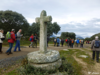 6b37a7ba9494f56f5aa5da20af04cb8b